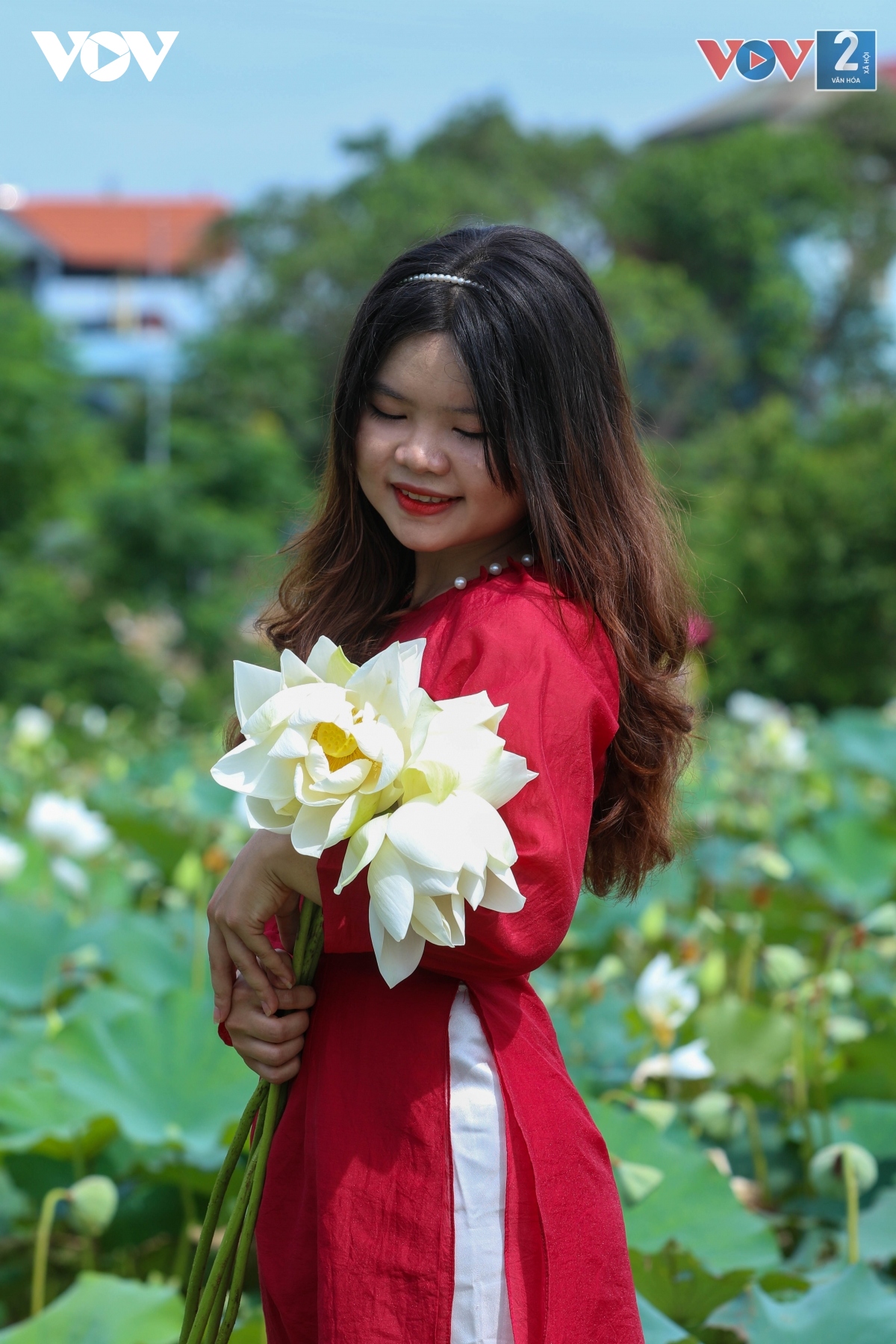 ngam dam sen trang tinh khoi o ngoai thanh ha noi hinh anh 7