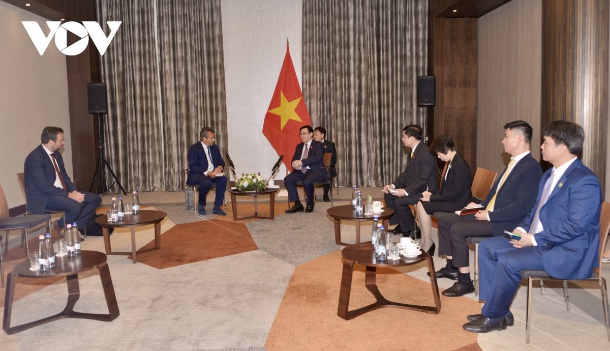  chu tich quoc hoi tiep lanh dao doanh nghiep hungary hoat dong tai viet nam hinh anh 3