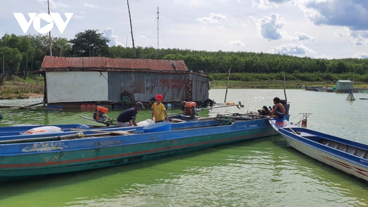 gian nan dua ngu dan ho dau tieng len bo hinh anh 6