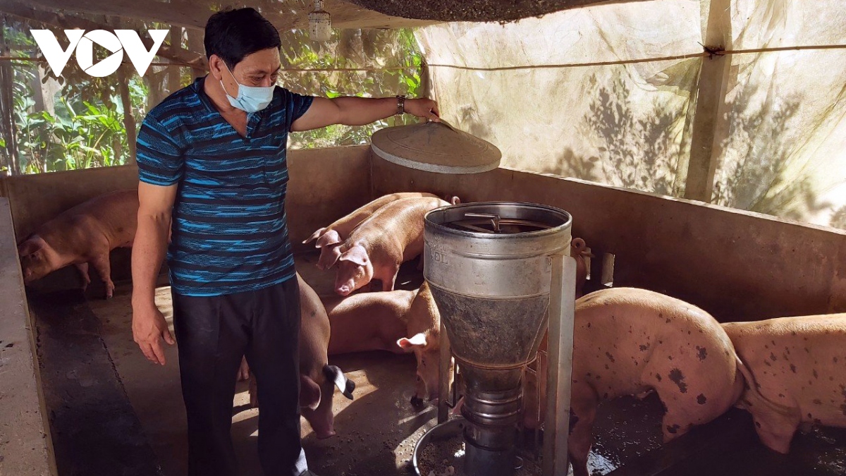 chi phi tang cao, nguoi chan nuoi o tien giang dieu dung hinh anh 2