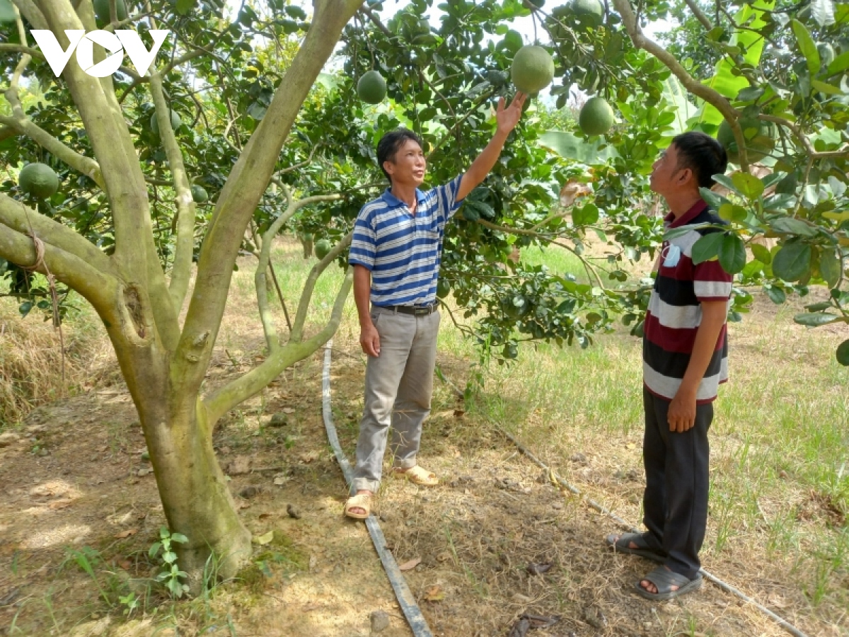 khanh hoa no luc dua 2 huyen mien nui ra khoi danh sach huyen ngheo hinh anh 1