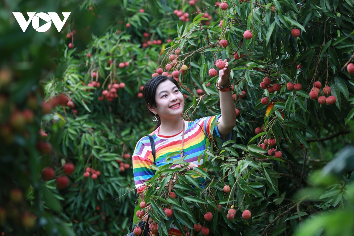 Lục Ngạn đẩy mạnh tiêu thụ nông sản gắn với du lịch cộng đồng