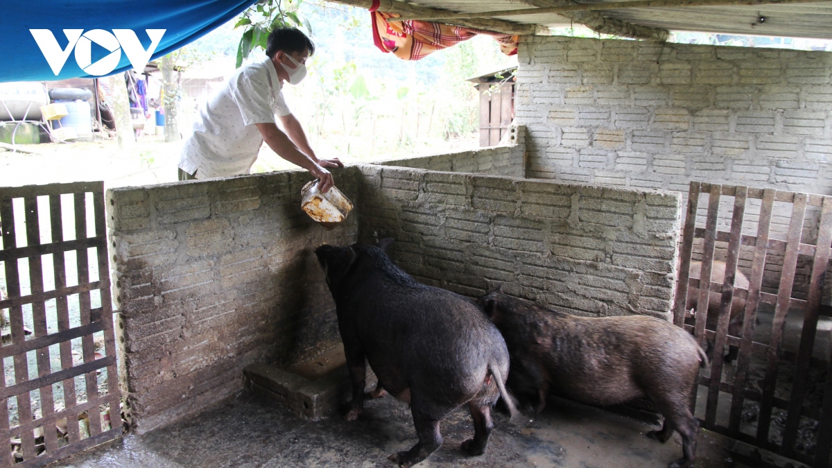 xin ra khoi ho ngheo, Dang vien thap lua y chi vuot kho hinh anh 2