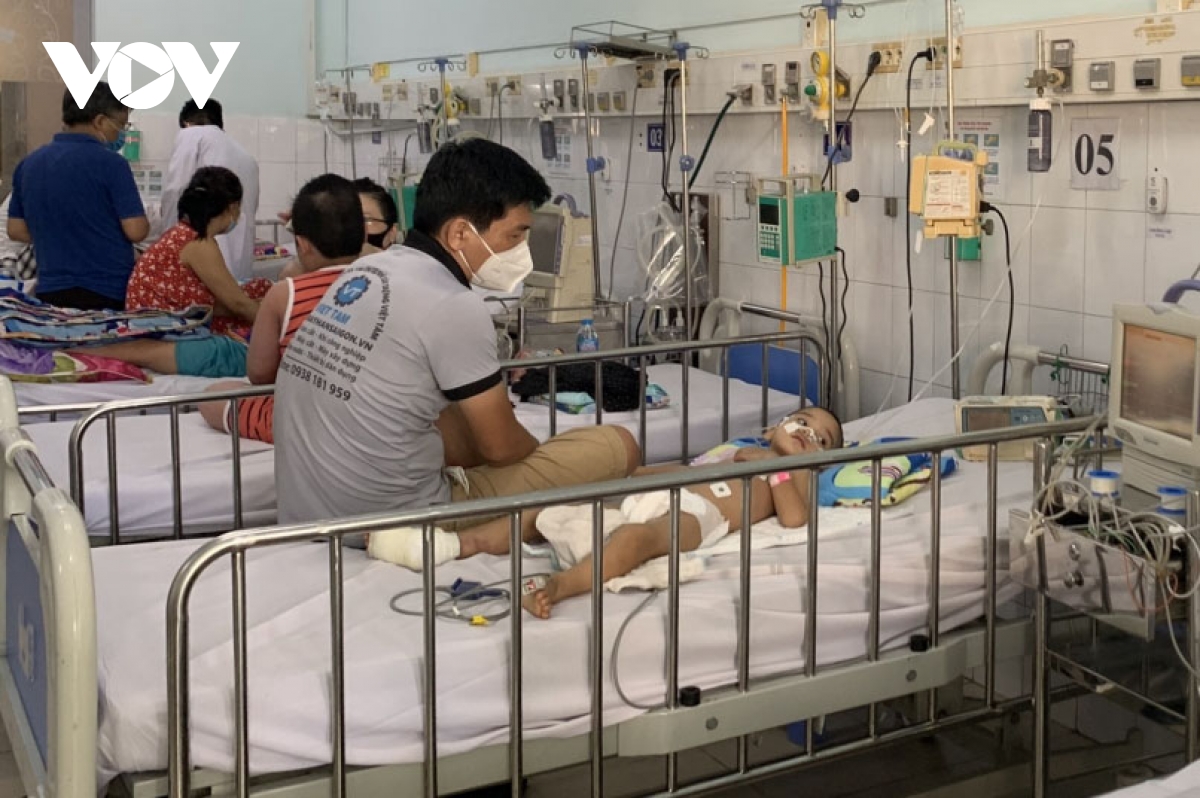 HCM City sees sharp rise in severe dengue fever cases