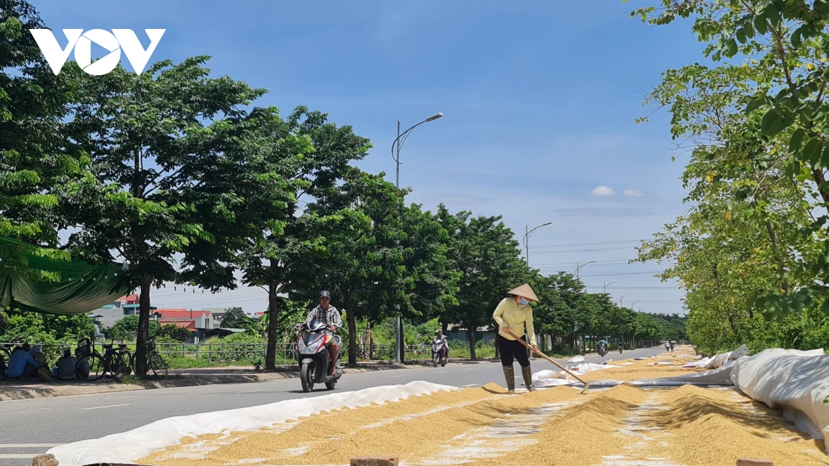 Duong thanh san phoi thoc, khoi rom ra bay mu troi ngoai thanh ha noi hinh anh 10