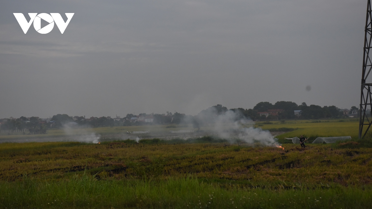 Duong thanh san phoi thoc, khoi rom ra bay mu troi ngoai thanh ha noi hinh anh 2