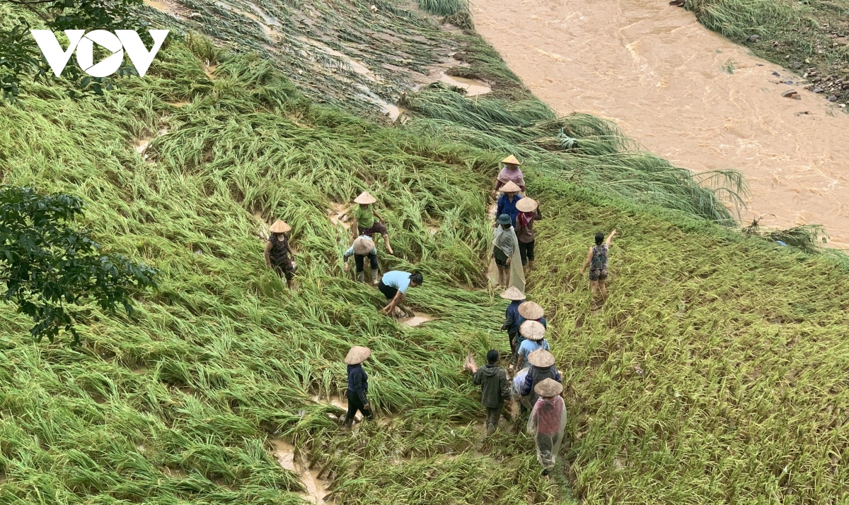 khan truong khac phuc hau qua mua lu o cac tinh tay bac hinh anh 1