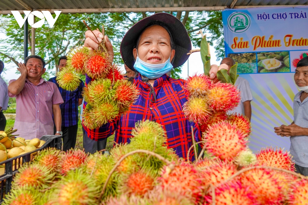 tet Doan ngo ve miet vuon phong Dien thuong thuc trai cay dac san hinh anh 2