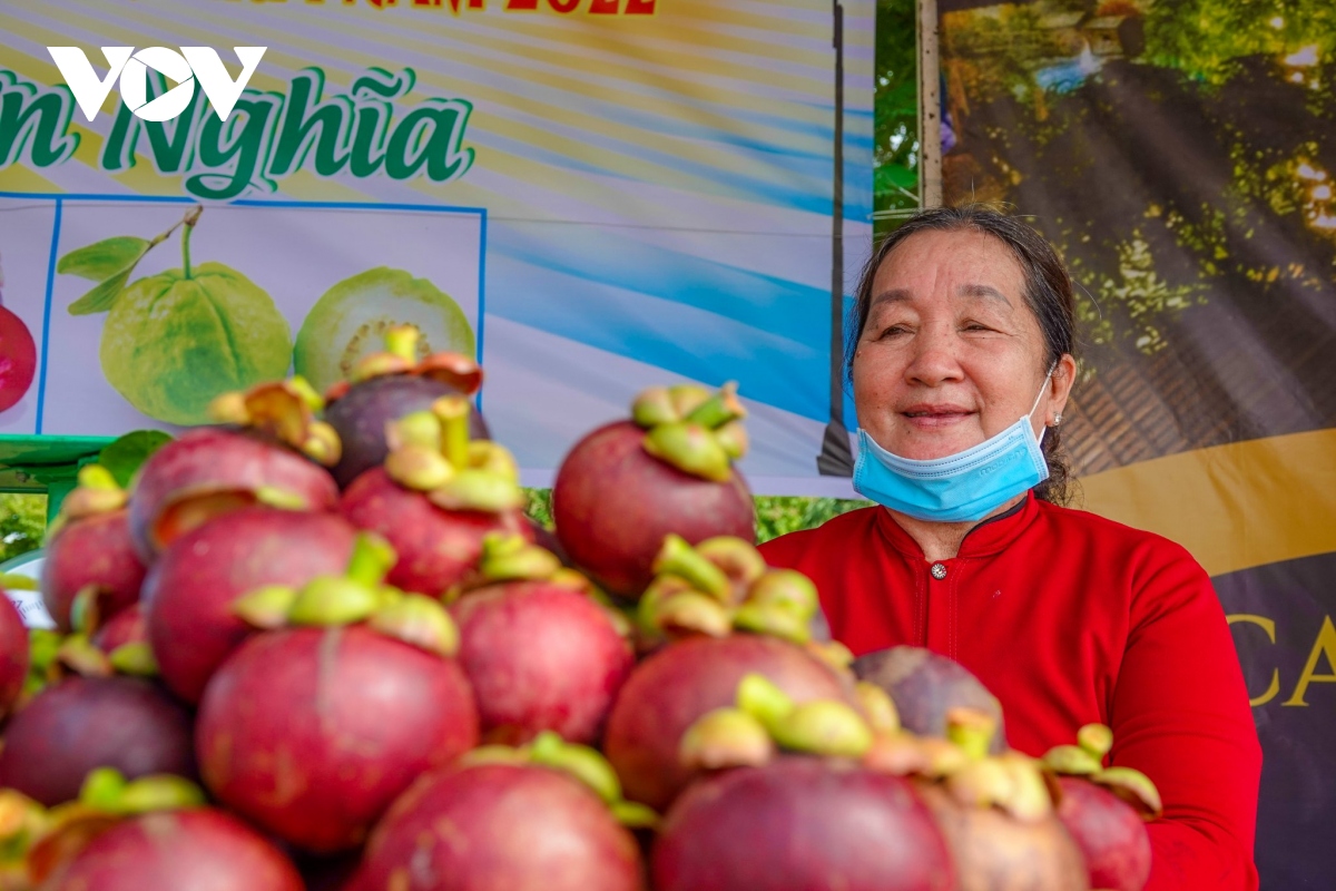 tet Doan ngo ve miet vuon phong Dien thuong thuc trai cay dac san hinh anh 3