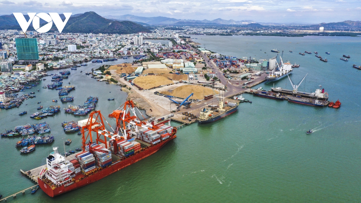 bình Định tăng cường quản lý, giám sát tàu cá hoạt động trên biển hình ảnh 1 binh Dinh tang cuong quan ly, giam sat tau ca hoat dong tren bien hinh anh 1