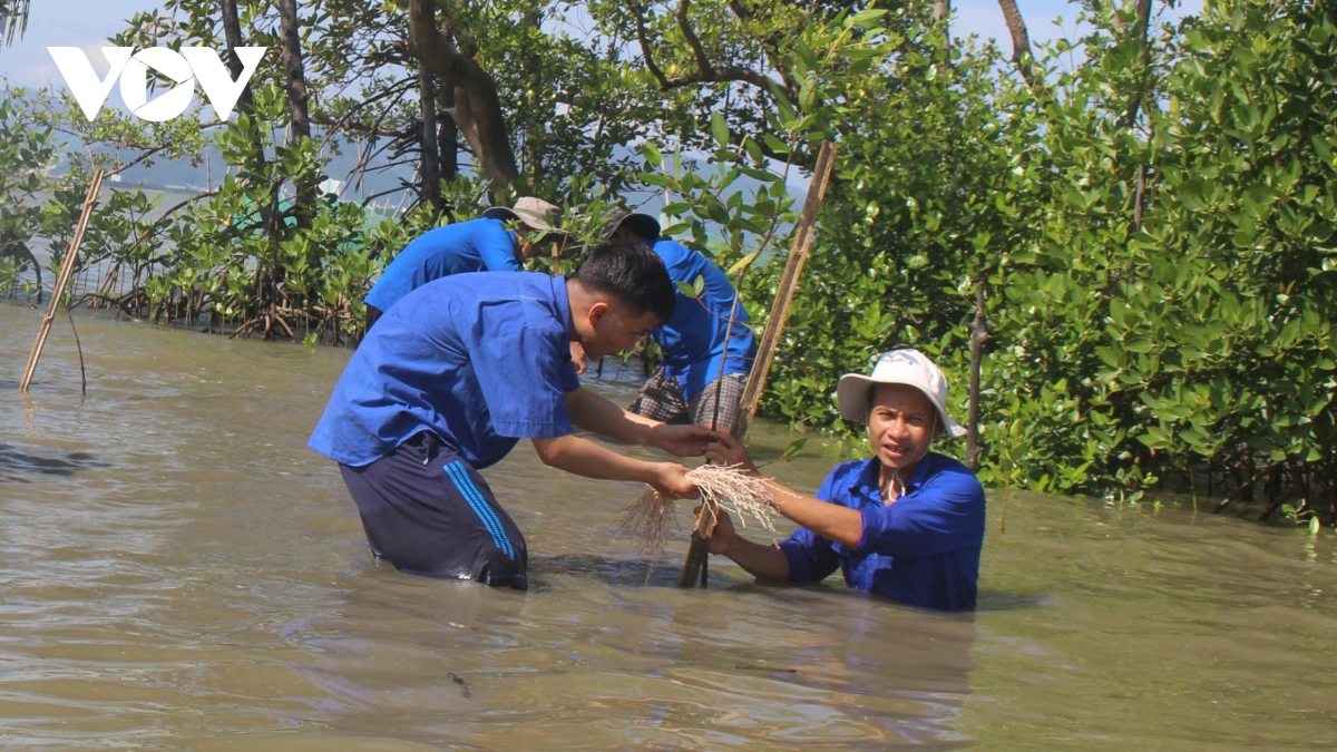 binh Dinh phat trien kinh te bien gan voi bao ton da dang sinh hoc hinh anh 1