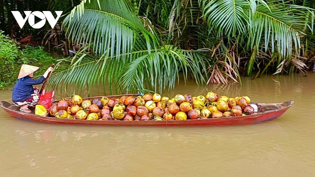  giai cuu trai dua kho dang e am tai thu phu hinh anh 2