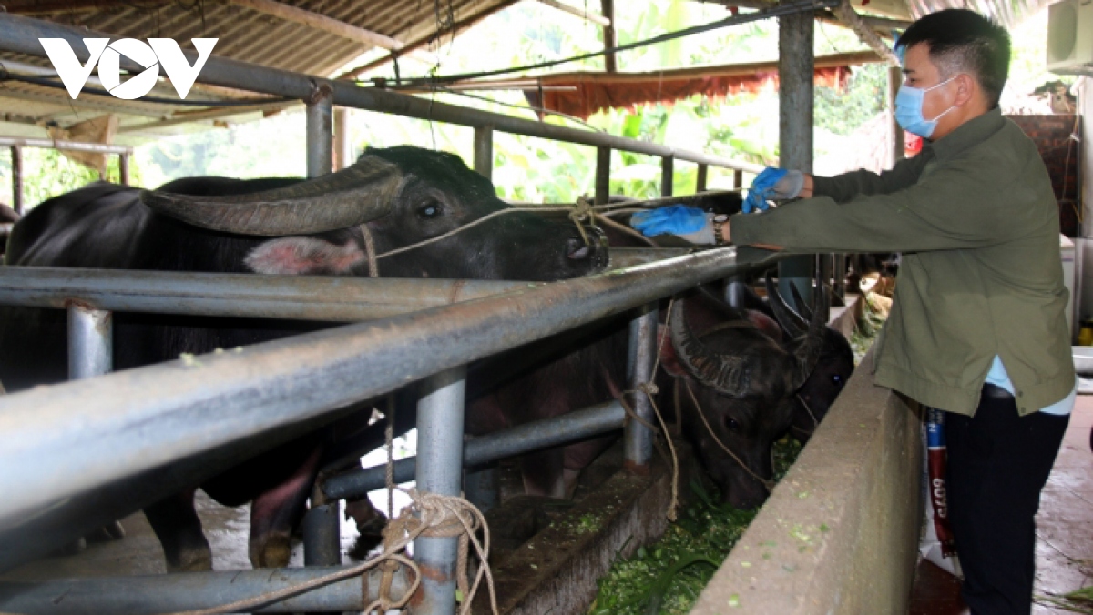 Da dang nganh nghe, hop tac xa gop phan doi thay bo mat nong thon hinh anh 2