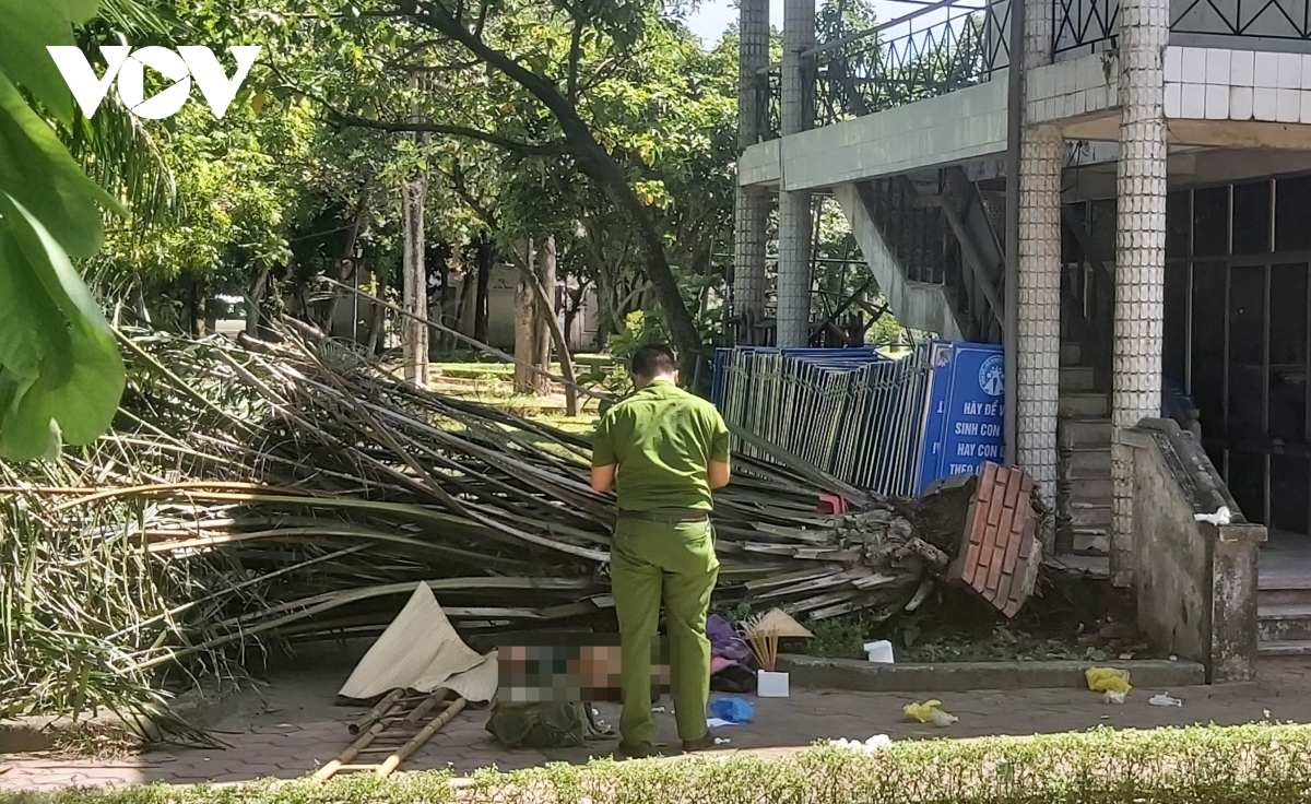 cay do de chet nguoi trong cong vien tai tp vinh hinh anh 1