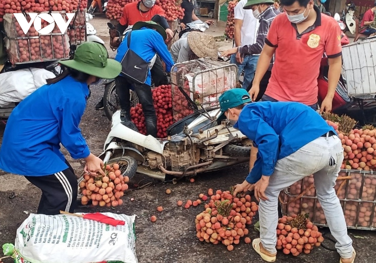 bac giang doc suc, chung tay cho mua vai thang loi hinh anh 6