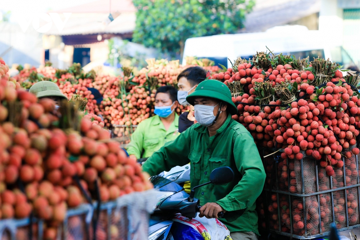 bac giang doc suc, chung tay cho mua vai thang loi hinh anh 10