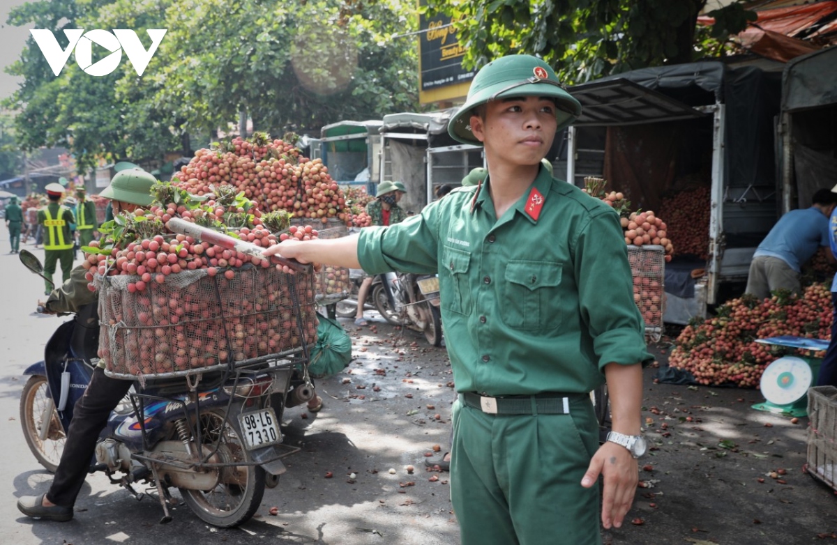 bac giang doc suc, chung tay cho mua vai thang loi hinh anh 4