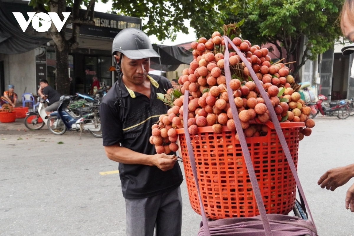 nong dan hai duong voi chuyen doi so hinh anh 2