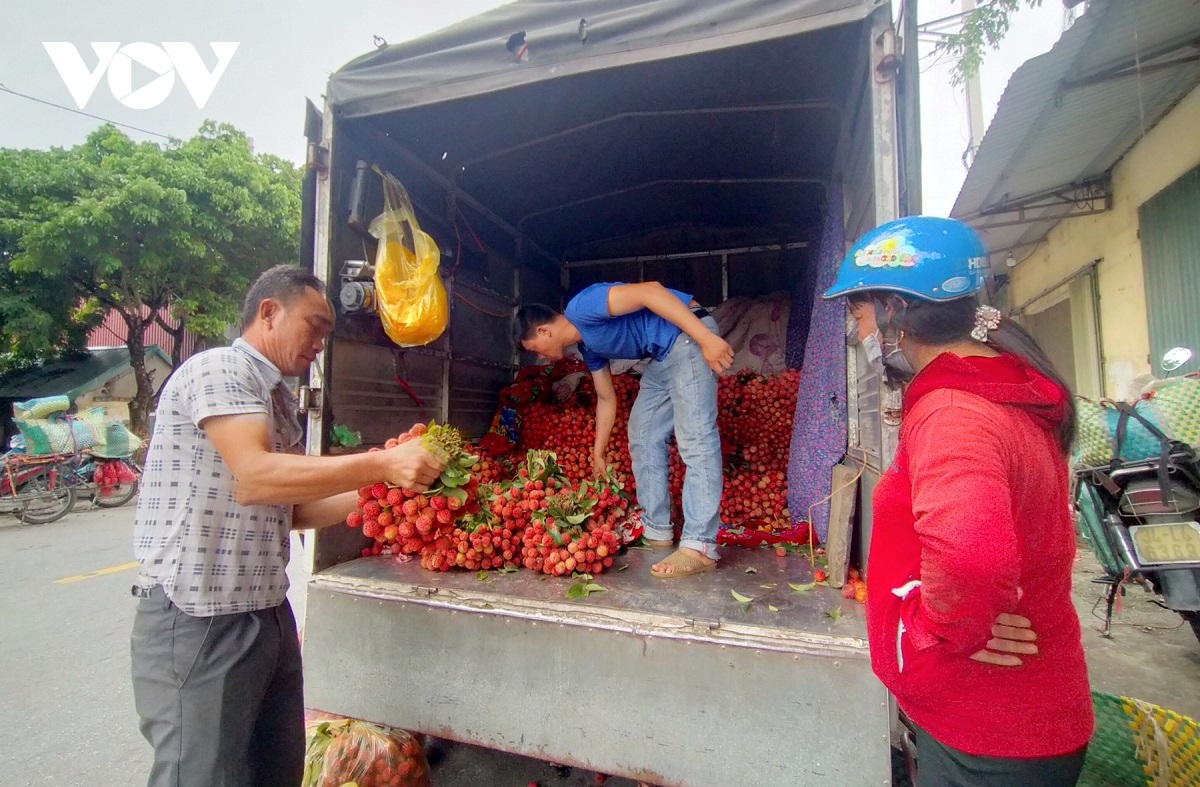 vai thieu thanh ha duoc gia nhat 10 nam lai day hinh anh 1