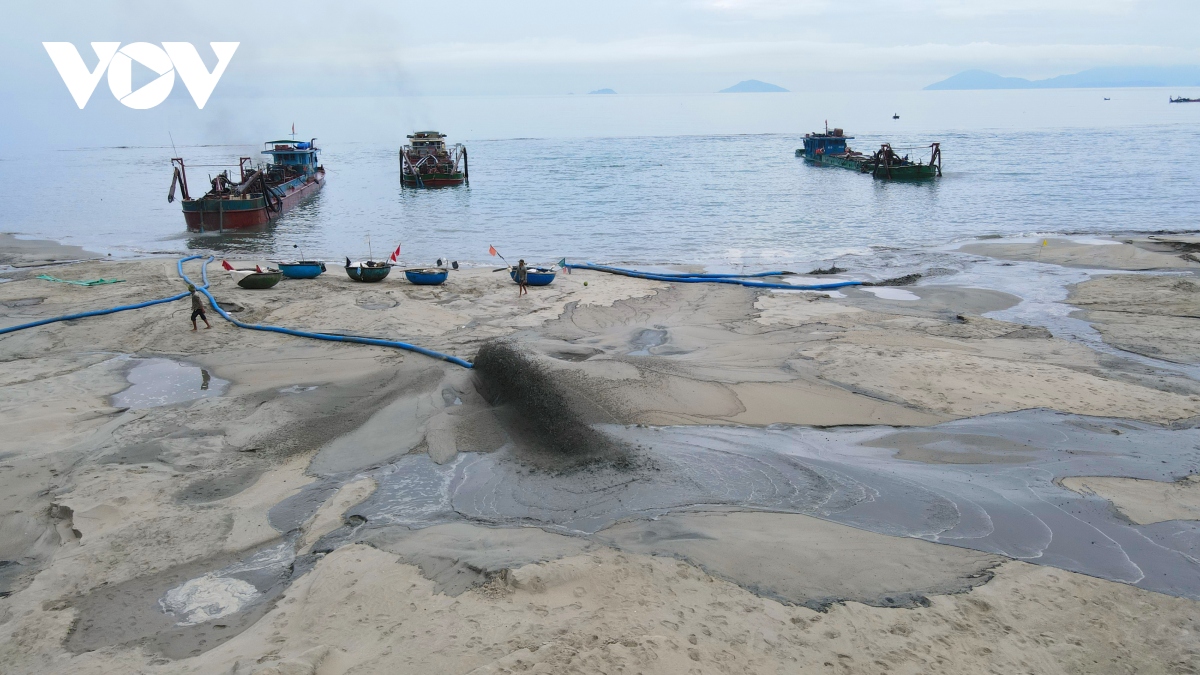 nguoi dan ho hoi khi cat da tro ve, du khach quay lai bien cua Dai hinh anh 10