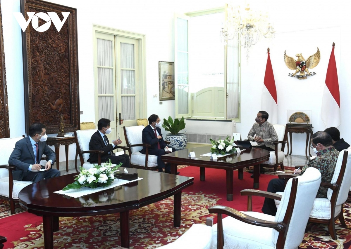 fm bui thanh son meets indonesian president widodo in jakarta picture 1