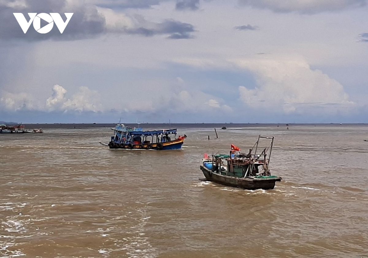 gia dau giam, ngu dan Dbscl ra khoi nhung van lo hinh anh 1