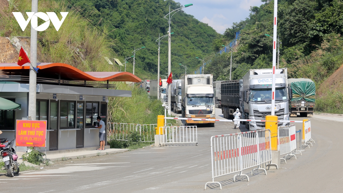 Lạng Sơn đẩy nhanh tiến độ thông quan hàng hóa nông sản tươi