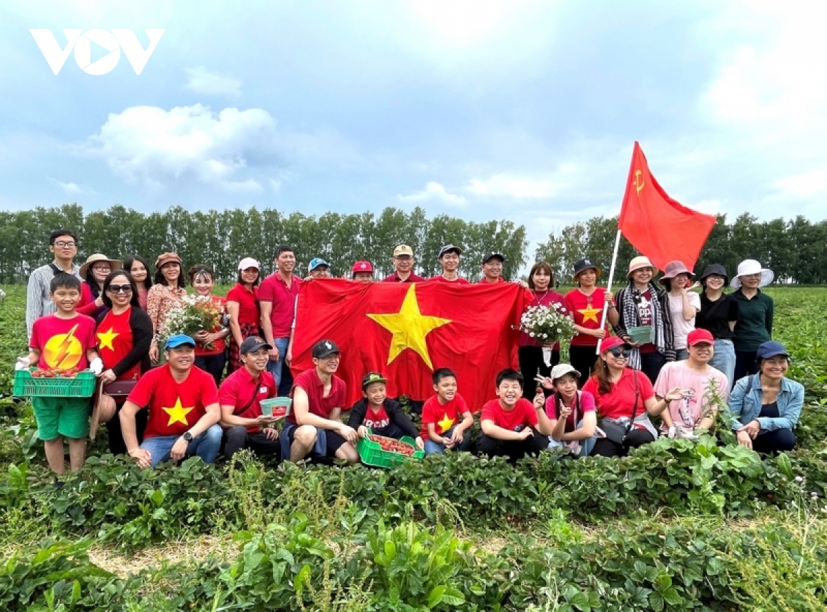 trai nghiem thu hoach dau tai nong trang lenin o nga hinh anh 8