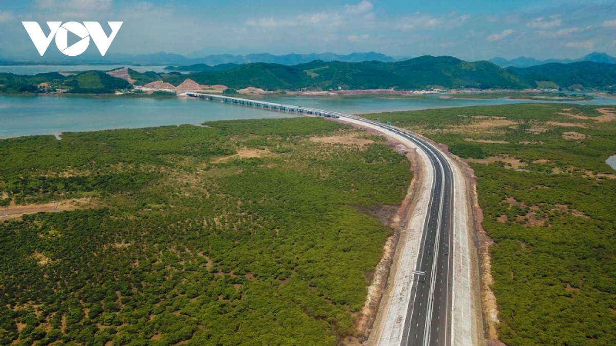 khung canh hung vi quanh cay cau vuot bien dai nhat quang ninh hinh anh 10