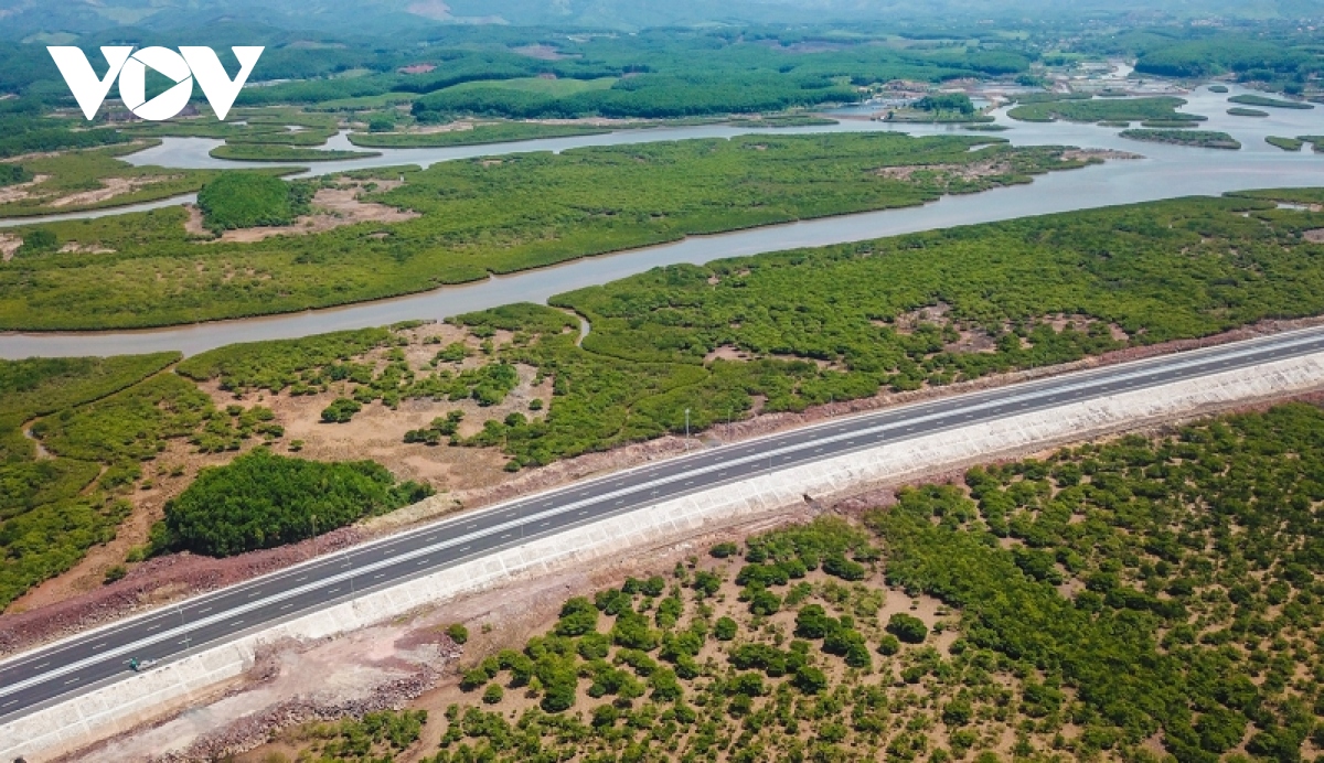 khung canh hung vi quanh cay cau vuot bien dai nhat quang ninh hinh anh 11