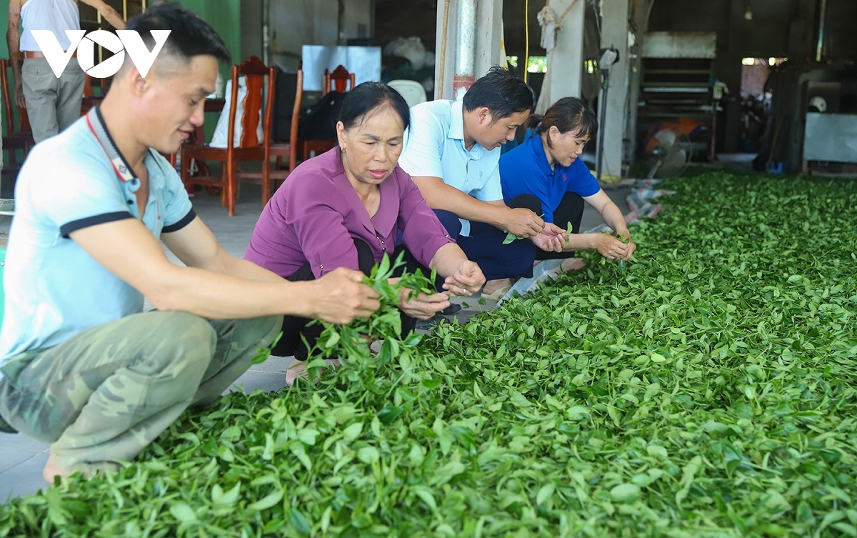 tham vung trong che tung di paris o quang ninh hinh anh 9