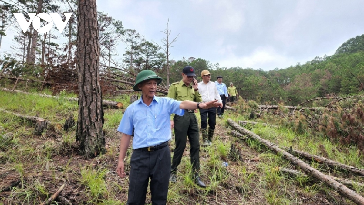 nhan dien viec dung tung, tiep tay cho lam tac hinh anh 1