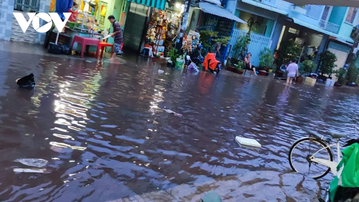 Mưa to kéo dài gây ngập úng trên diện rộng ở Tiền Giang