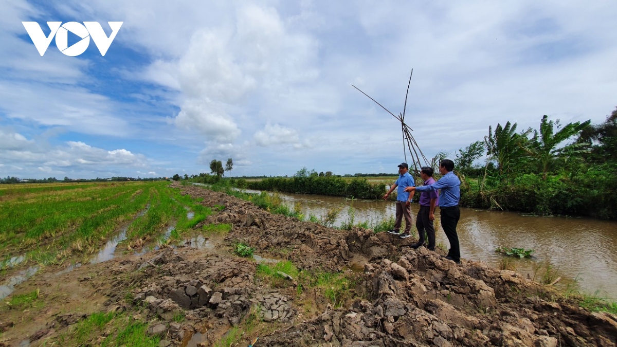 lu ve muon, nong dan vung bien gioi long an tat bat doi sinh ke hinh anh 2