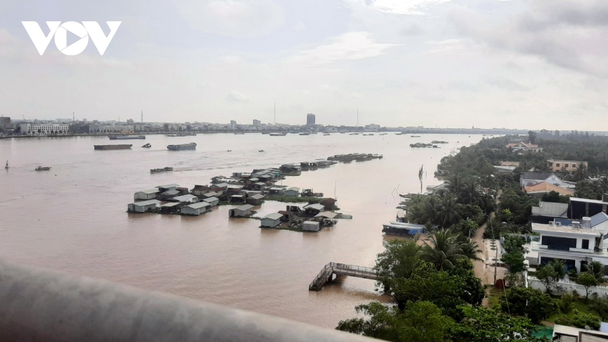 Nuôi cá thua lỗ, nhiều ngư dân ở Tiền Giang bán cả lồng bè