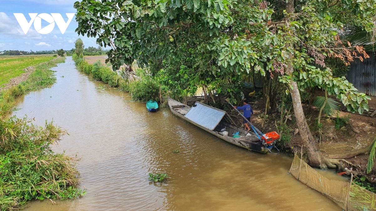 lu ve muon, nong dan vung bien gioi long an tat bat doi sinh ke hinh anh 3