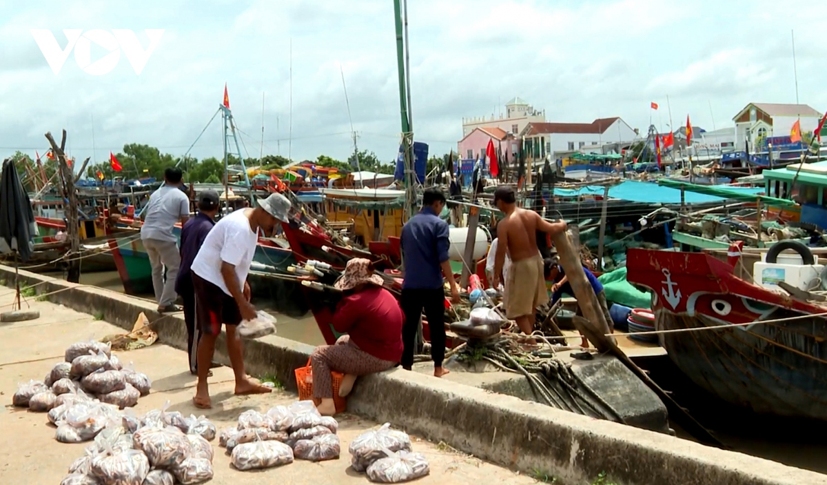 ben tre, tra vinh can phoi hop dong bo hon trong phong ngua tau ca vi pham iuu hinh anh 4