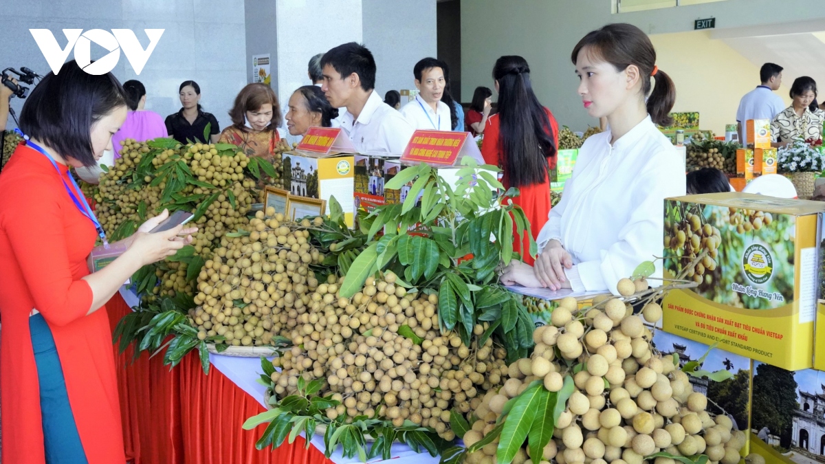 hung yen chu dong cac phuong an tieu thu nhan va nong san hinh anh 2