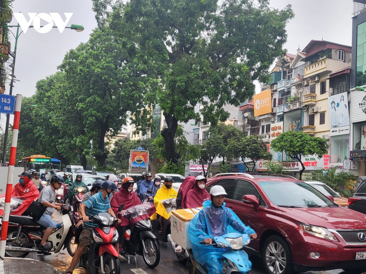 nguoi ha noi chat vat trong con mua keo dai do anh huong cua bao hinh anh 18