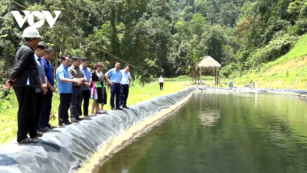 nuoi ca dac san danh thuc tiem nang kinh te o xa vung cao na hau hinh anh 2