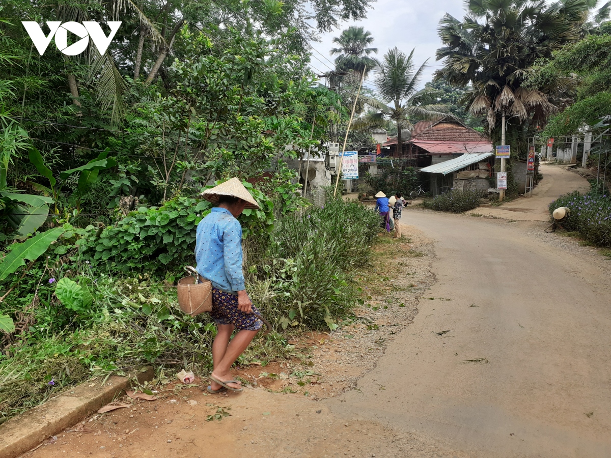 O nhiem moi truong o vung nong thon lao cai rat dang ngai hinh anh 1