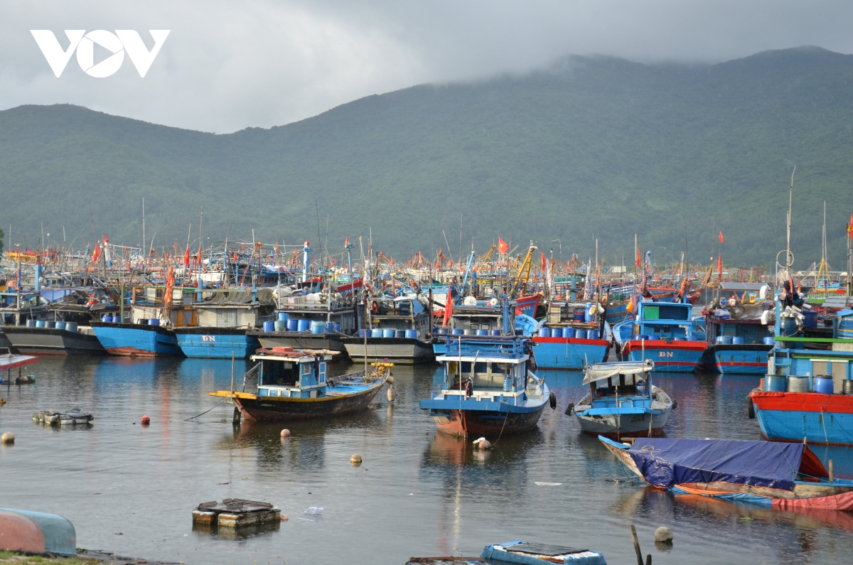 bo truong le minh hoan kiem tra cong tac ung pho bao noru tai Da nang hinh anh 5