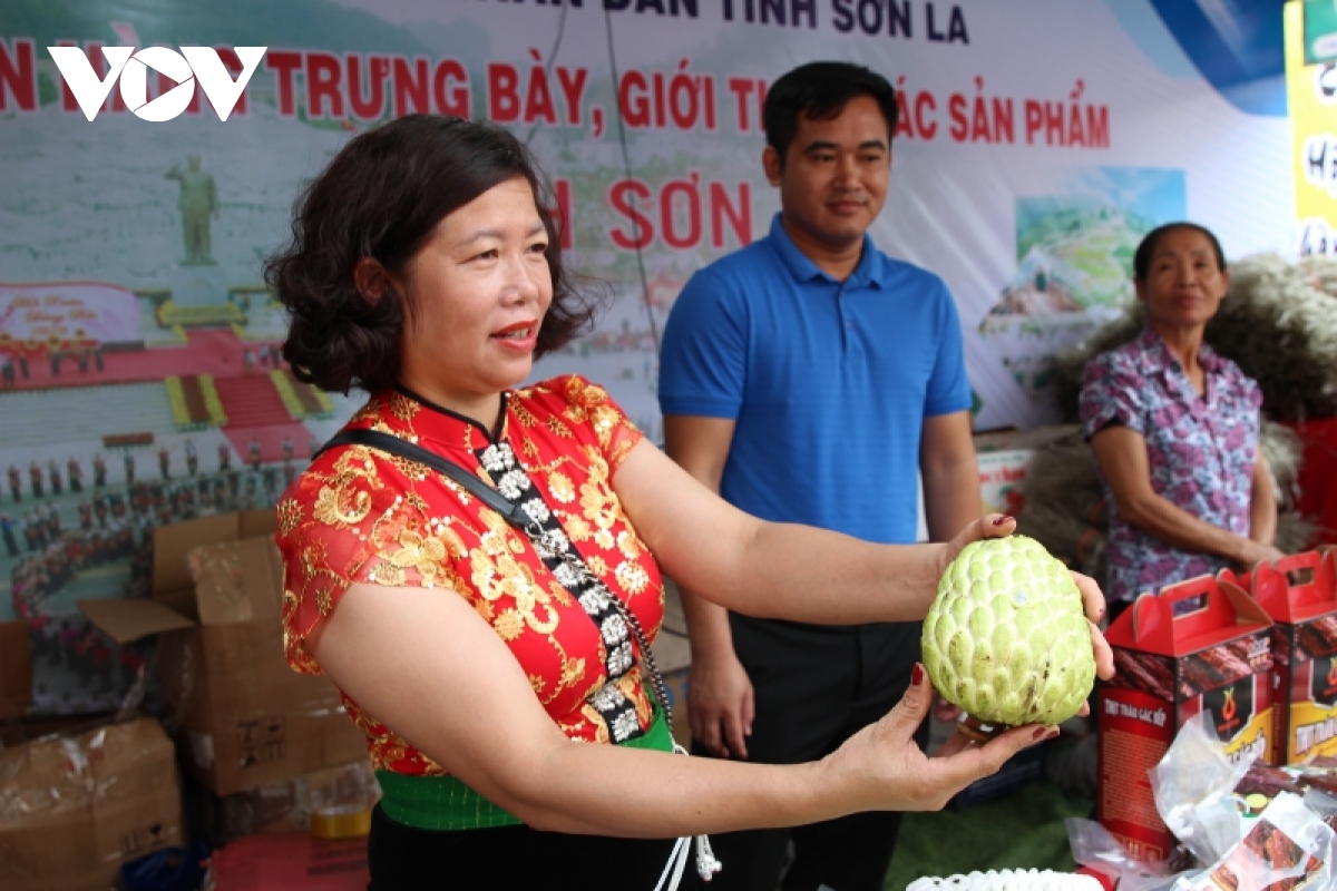 ve muong lo thuong thuc san vat cac dia phuong trong vung tay bac hinh anh 8