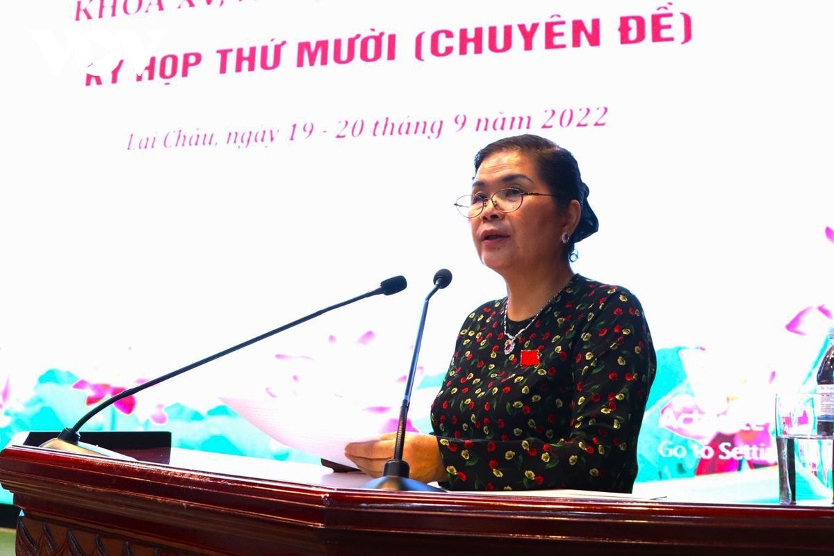 hDnd tinh lai chau to chuc ky hop thu 10, quyet dinh van de phat trien ktxh hinh anh 1