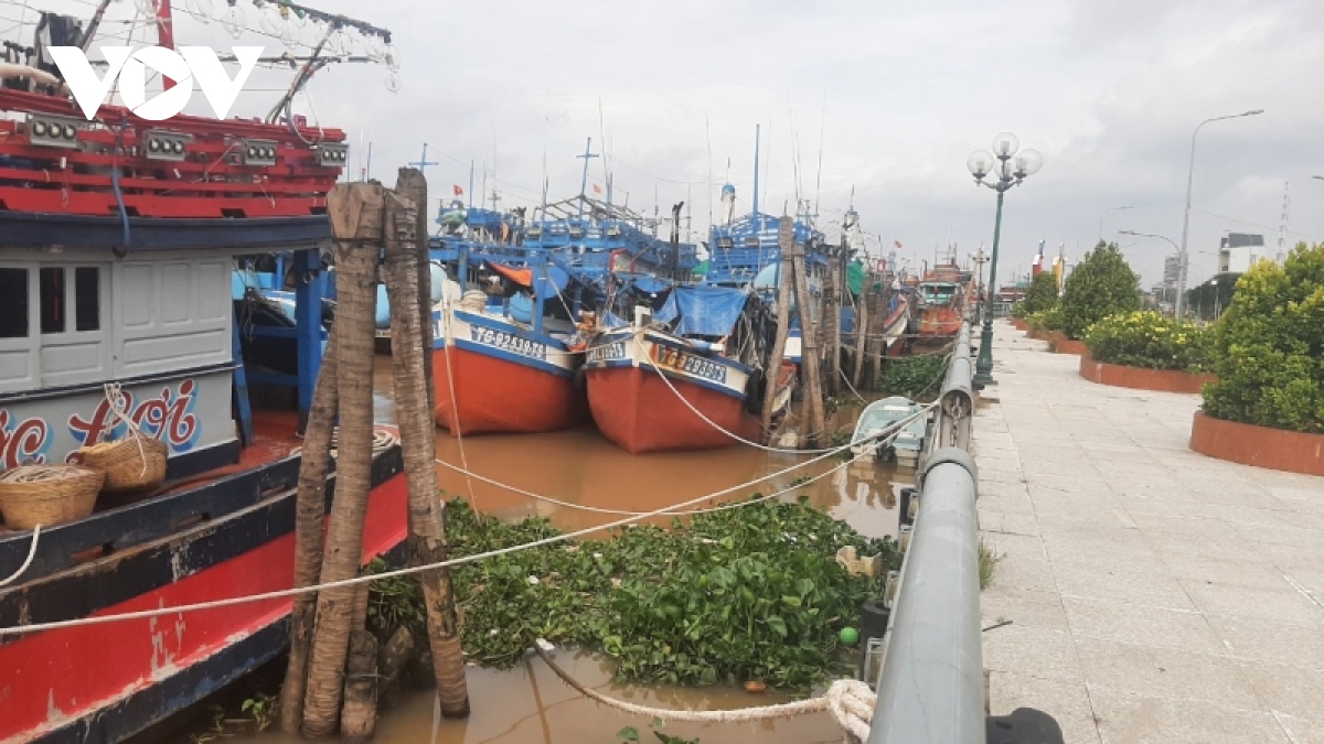 ngu dan tien giang khac phuc kho khan kep , quyet tam ra khoi bam bien hinh anh 1