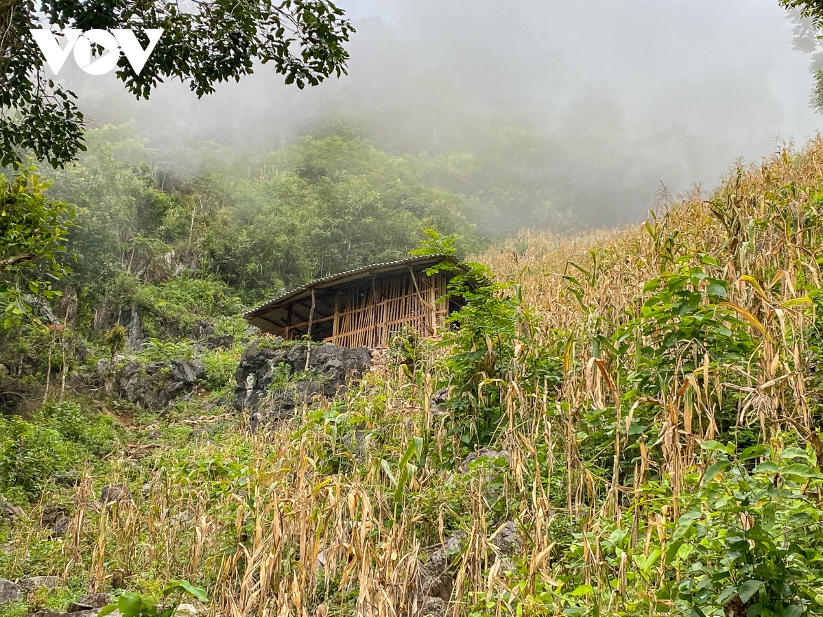 vi tri hoan hao de ngam toan canh deo 15 tang tai bao lac, cao bang hinh anh 8