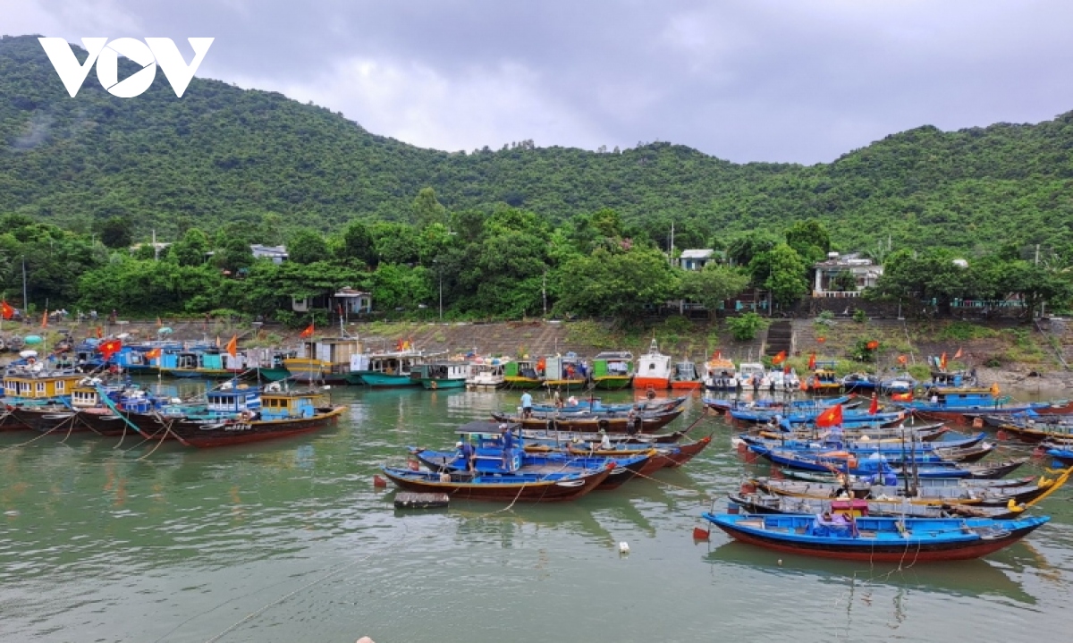 hoi an so tan 100 ho dan ven bien, khan truong bao ve di tich trong pho co hinh anh 1