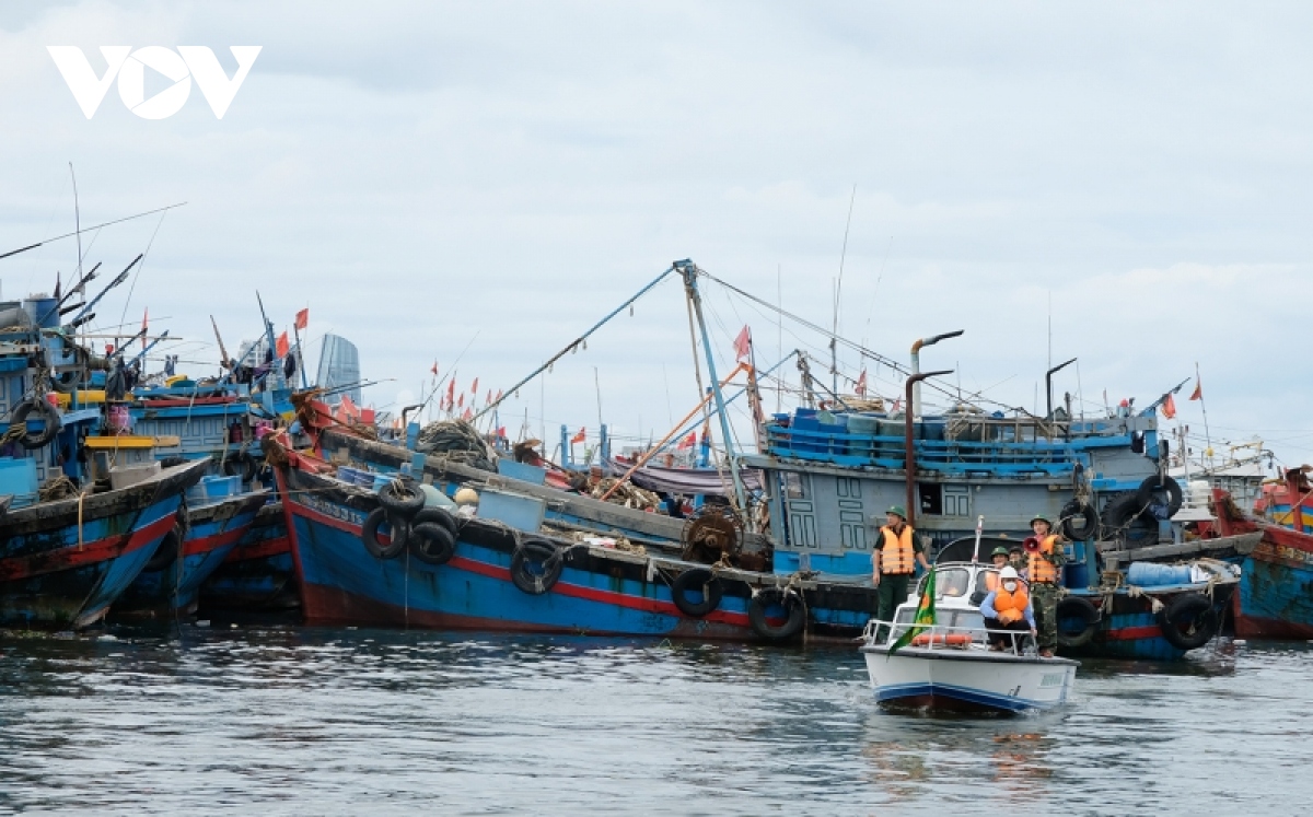 hue, Da nang chu dong trien khai bien phap ung pho bao noru hinh anh 5