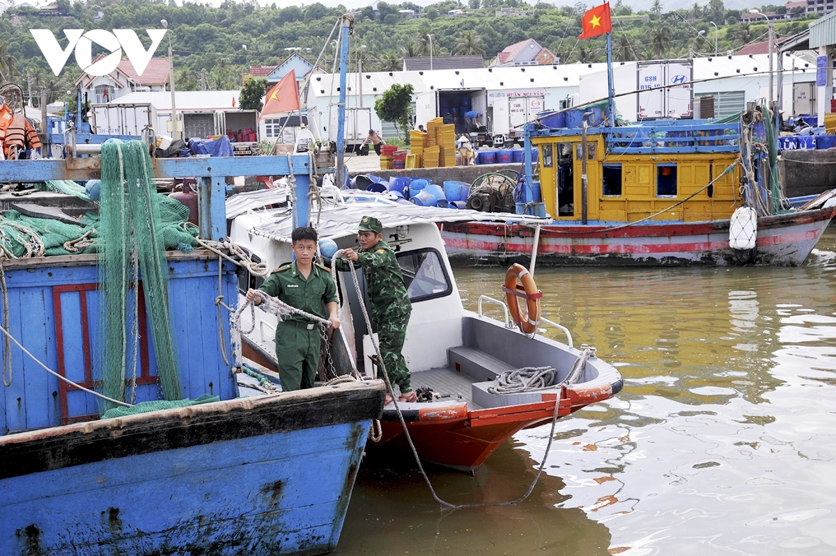 phu yen, ninh thuan, binh thuan chu dong ung pho voi bao noru hinh anh 2