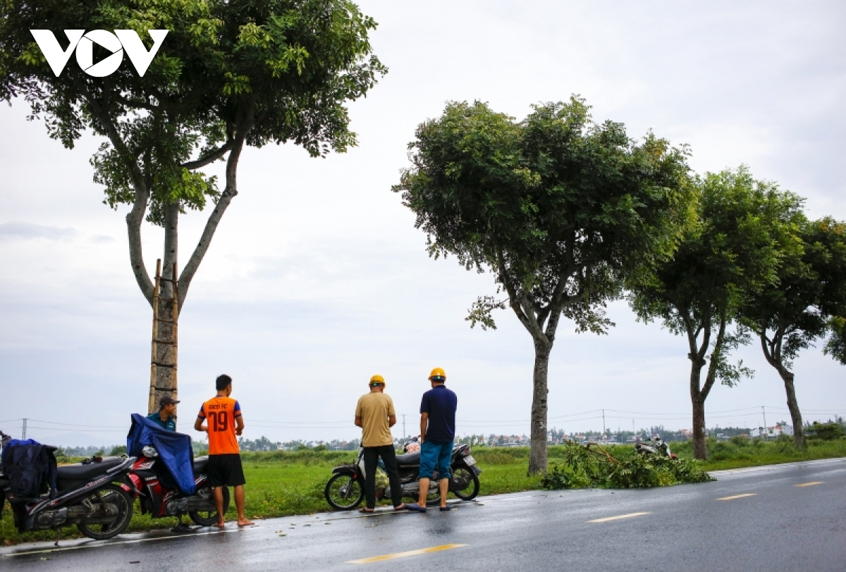 hoi an dung ban ve khu pho co, tau thuyen du lich neo dau an toan hinh anh 4